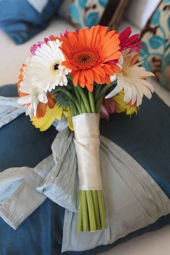 Gerberas