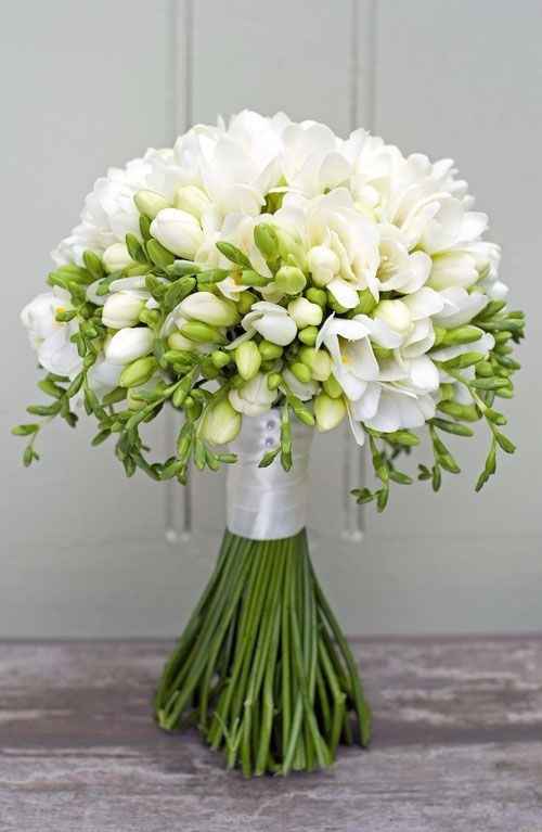 Freesias