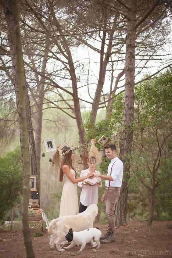 Mascotas boda