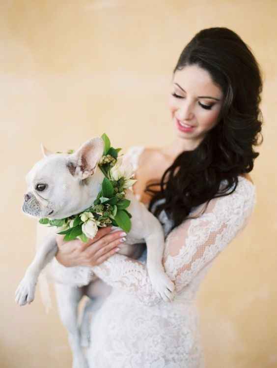 Novia y perrito