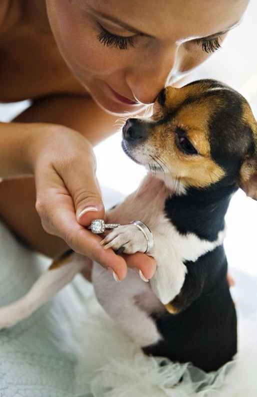 Novia y perrito