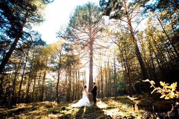 Postboda otoño