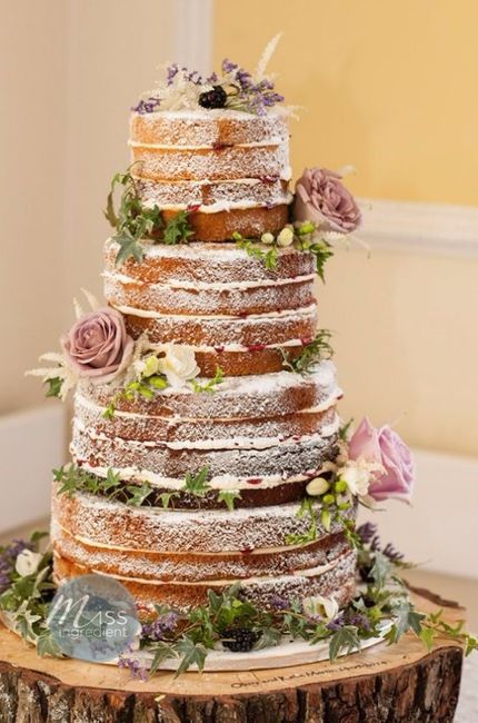 ¿Cuál de estas tortas es la más apropiada para una boda rústica? 2
