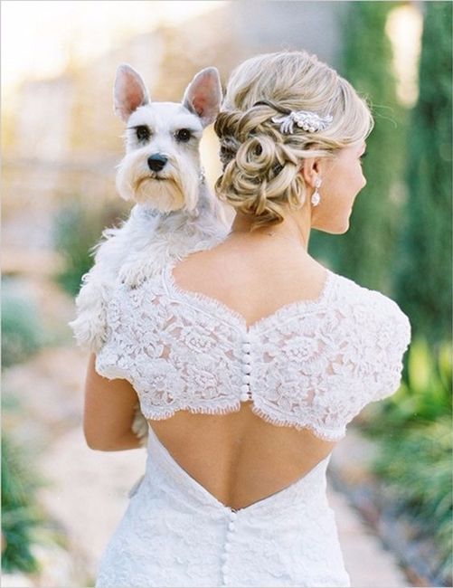 Novia y perrito