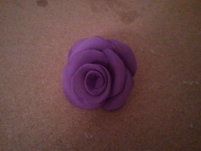 PRIMERA ROSA