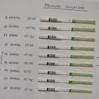 Resuelvo dudas sobre los to (test de ovulacion) - 1