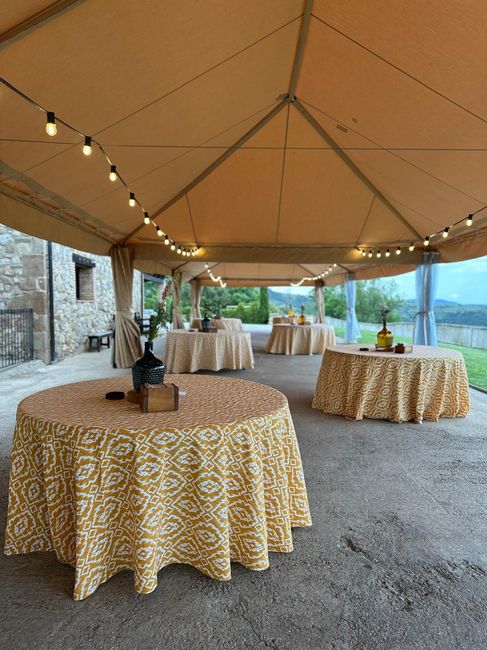 Zona aperitivos carpa