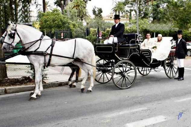 carruaje de caballos