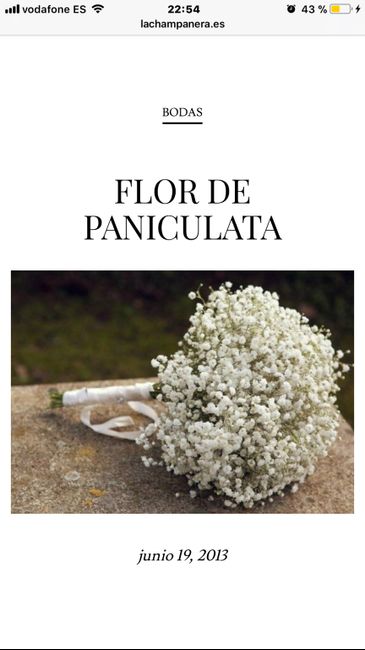  Compritas decoración! - 1
