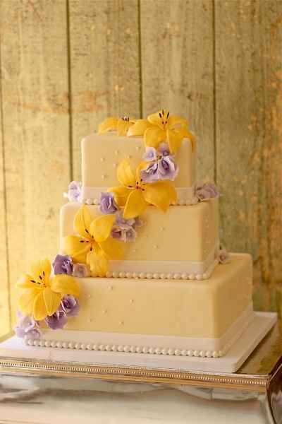 rapunzel theme 9
