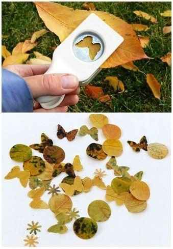 autumn theme 6