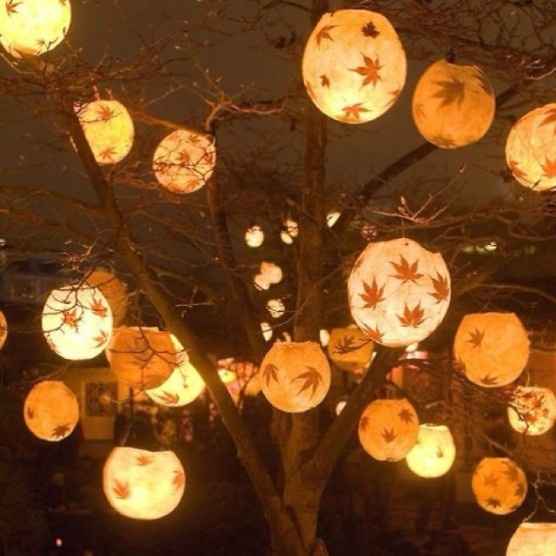autumn theme 17