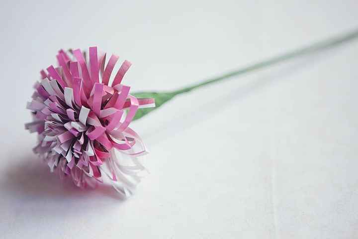 paper flower 9