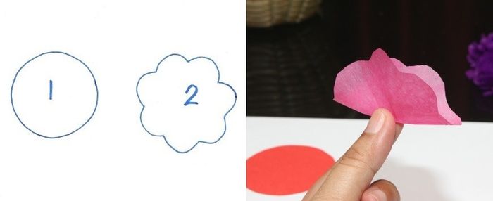 carnation 6