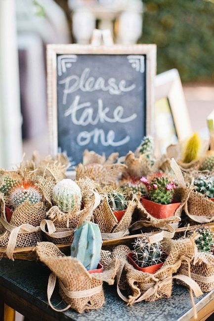 cactus favour 1