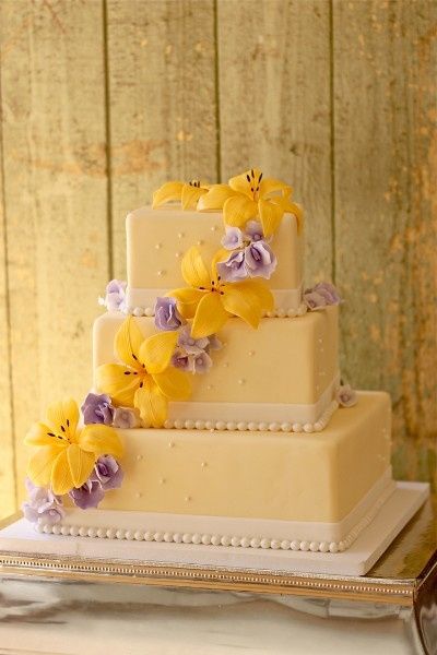 rapunzel theme 9
