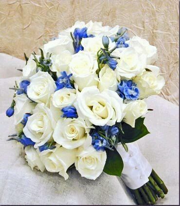 Ramo azul - 3