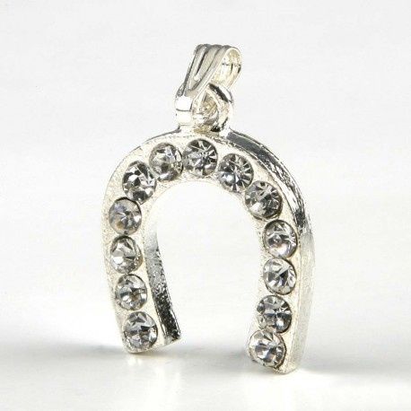 horseshoe favour 6