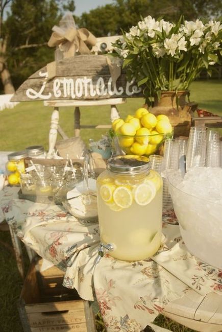 lemonade stand 6