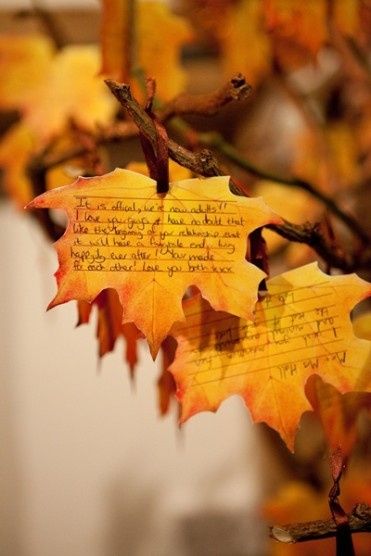 autumn theme 22