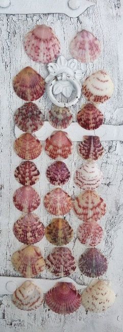 marsala 13