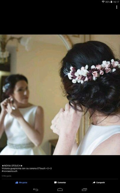 Adornos para el cabello - 1