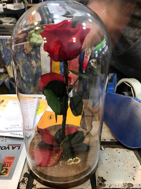 Rosas eternas - 1