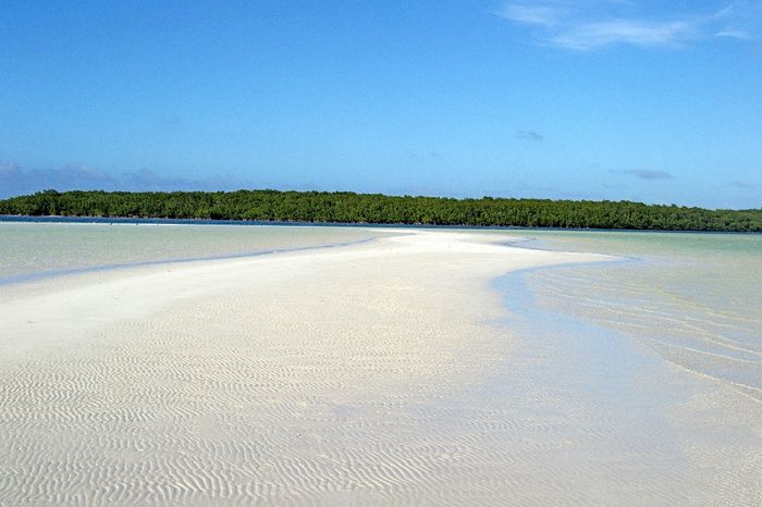 CAYO ENSENACHOS