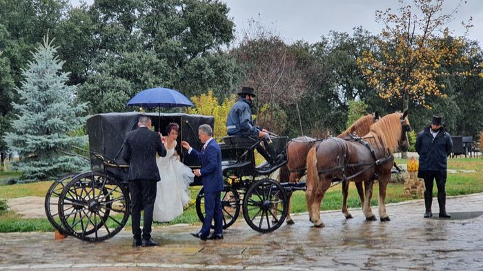 Re-sis-ten-cia!!! Sí se puede!!! Crónica de una boda anunciada...7 nov 4