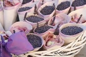 lavanda