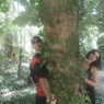 Iratxe