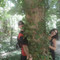 Iratxe