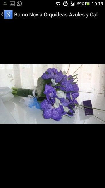 Novias salamanca 2014 - 2