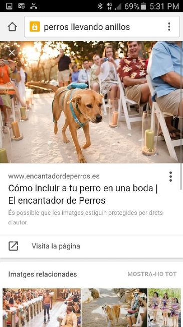 Ayudaa!! cojin porta anillos para perros - 4