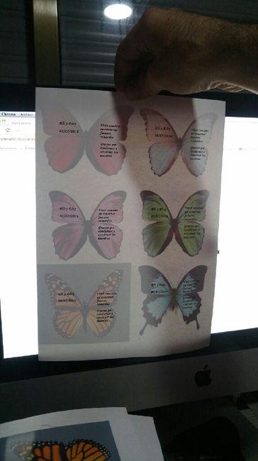 Nuestras mariposas en proceso! - 2