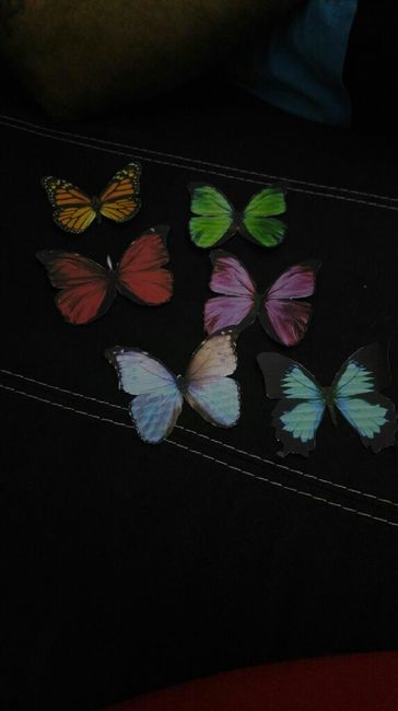 Nuestras mariposas en proceso! - 5
