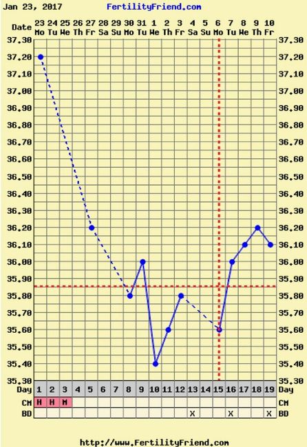 Resuelvo dudas sobre los to (test de ovulacion) - 1
