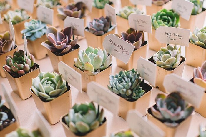 Detalles invitados 4