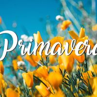 ÚLTIMO PASO: ¡Cuéntanos tus proveedores y llévate las pegatinas! - 1