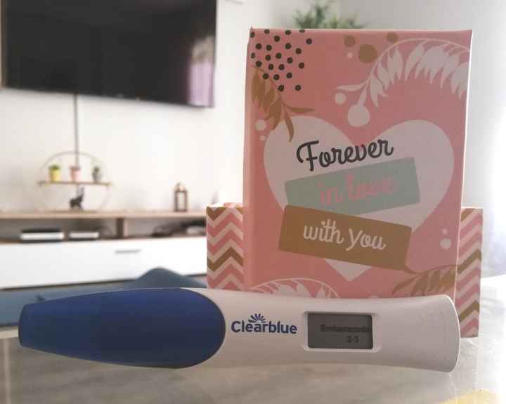 buscadoras febrero 2020 - 1