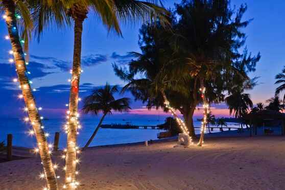  Decoracion jardin - 1