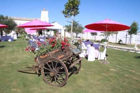 Hacienda Saltillo Lasso