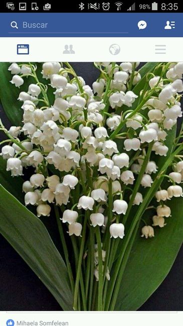 Las 10 flores más usadas en las bodas: ¿Cuál es la tuya? - 1
