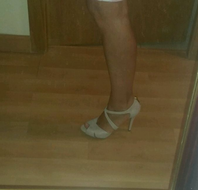 Mis lodi - 2