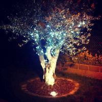 Mi Árbol de navidad!!!  - 2