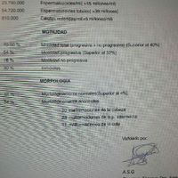 Buscadoras de un primer embarazo y tras muchos intentos no llega - 1