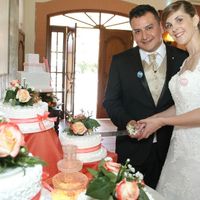 Alegría y tristeza después de un mes de mi boda - 9