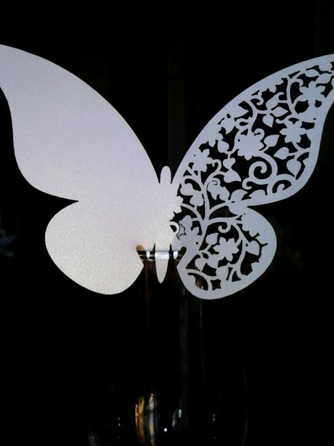Primera compra x internet ( mariposas) - 2