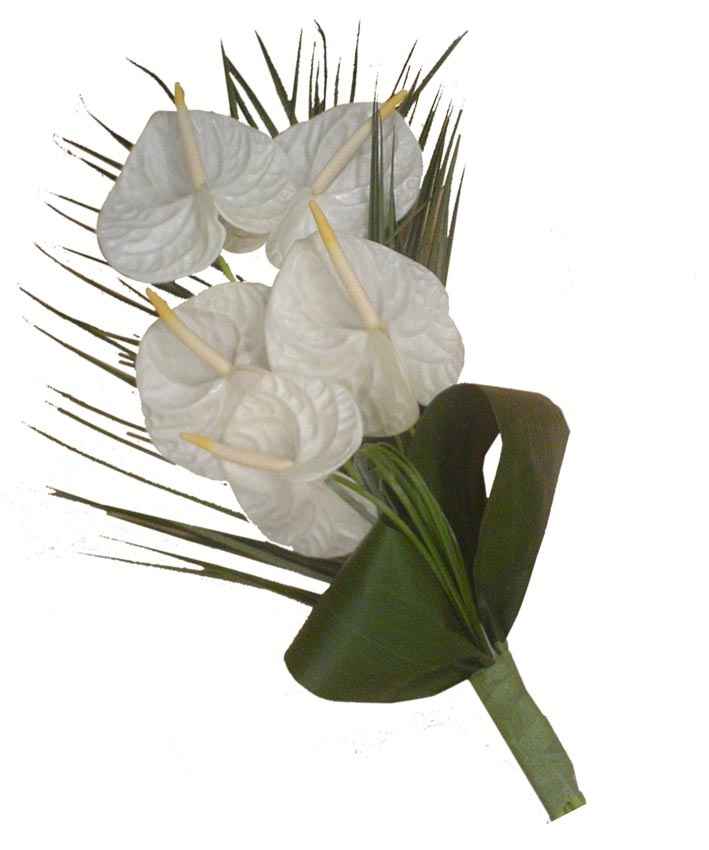 abthium