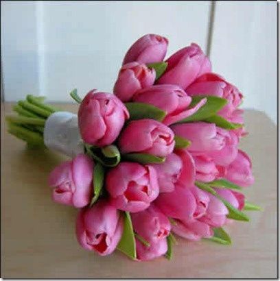 Tulipanes Rosas